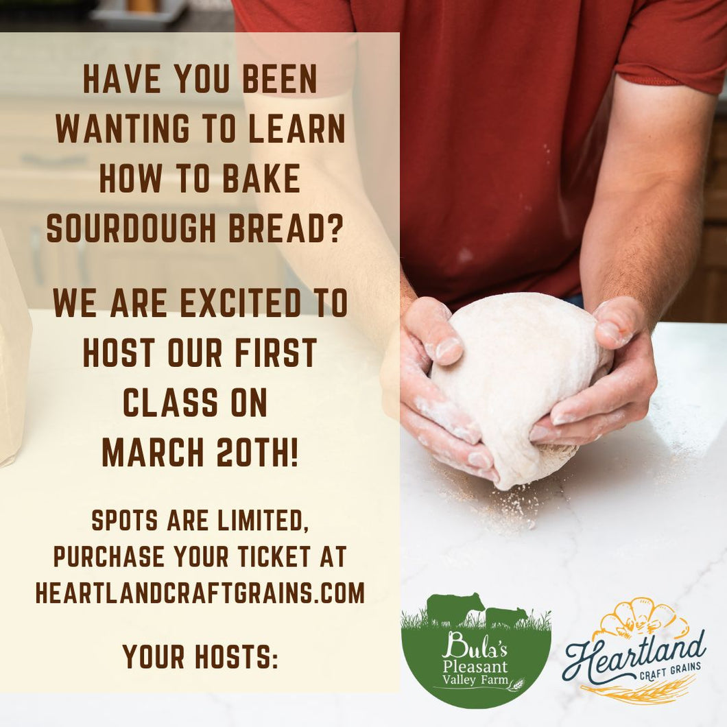 Artisan Sourdough Class Ticket