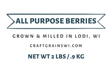 All Purpose Berries - Hard White Winter Wheat