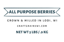 All Purpose Berries - Hard White Winter Wheat